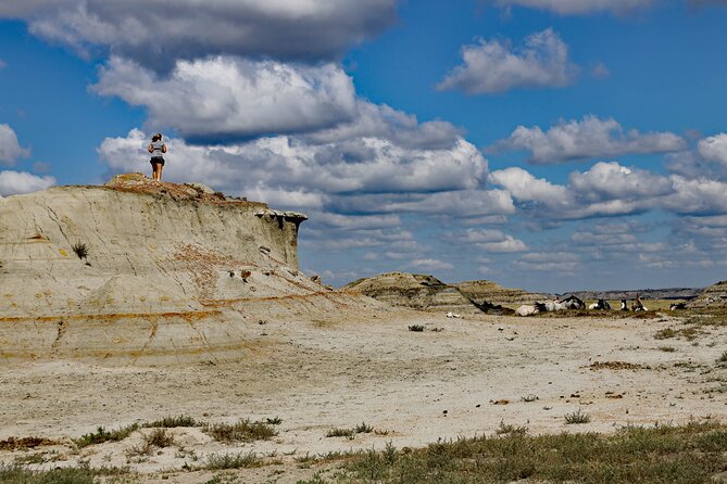 Chasing Horses Back to Nature Experience in North Dakota - Key things to know before booking