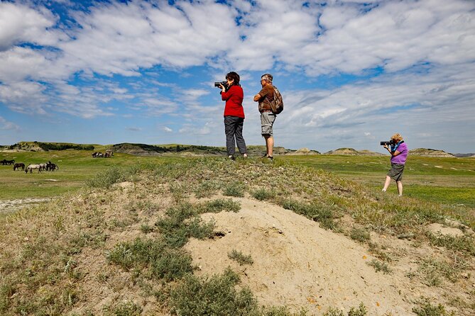 Chasing Horses Back to Nature Experience in North Dakota - Why this horse tour works better than searching alone