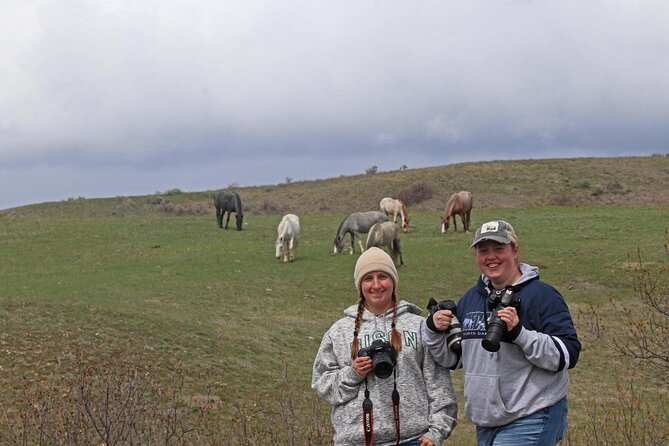 Chasing Horses Back to Nature Experience in North Dakota - Photography without the usual rush