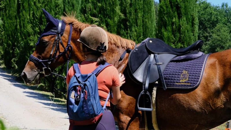 Chianti: Horseback Riding Through Vineyards and Woods - Vineyards, Olive Groves, and Everyday Chianti