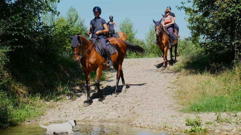 Chianti: Horseback Riding Through Vineyards and Woods - Who Will Enjoy This Ride Most