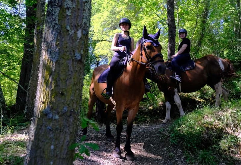 Chianti: Horseback Riding Through Vineyards and Woods - Is the Ride Worth Booking?