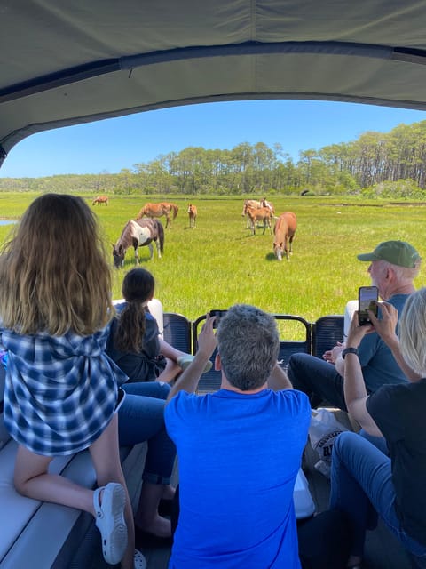 Chincoteague: Premier Pony & Wildlife Small Group Boat Tour - Why this small boat tour feels different