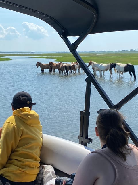 Chincoteague: Premier Pony & Wildlife Small Group Boat Tour - The first stretch through Chincoteague and Assateague waters