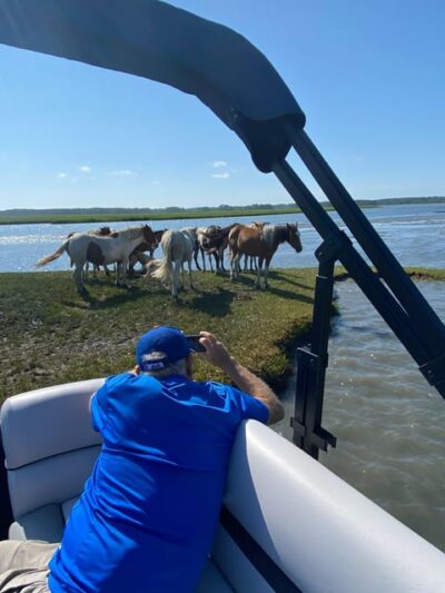 Chincoteague: Premier Pony & Wildlife Small Group Boat Tour