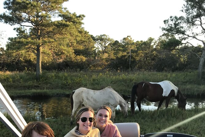Chincoteague's Up The Bay Pony and Wildlife Tour by Boat - Why this small boat tour works so well