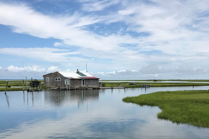 Chincoteague's Up The Bay Pony and Wildlife Tour by Boat - Is $75 a fair price?