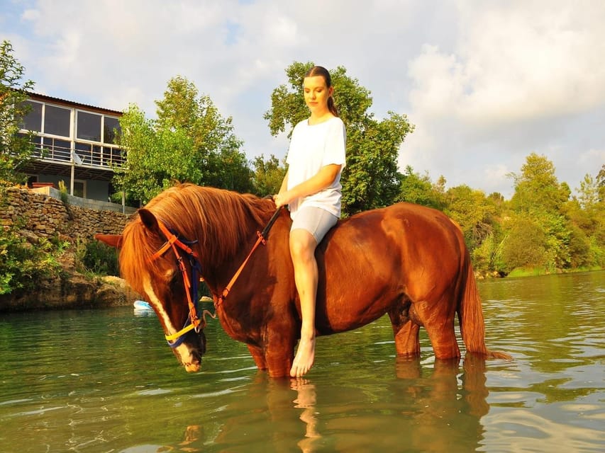 City of Alanya: Horse Riding Experience - What the horse pace means for beginners and experienced riders