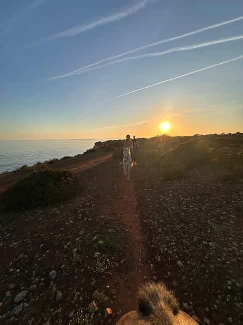 Cliffside Horseback Riding in the Algarve - The viewpoint and the best photo moment