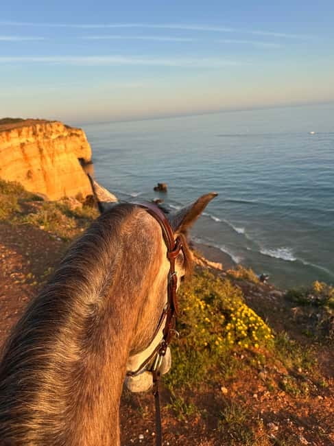 Cliffside Horseback Riding in the Algarve - Getting comfortable before the coastal trail