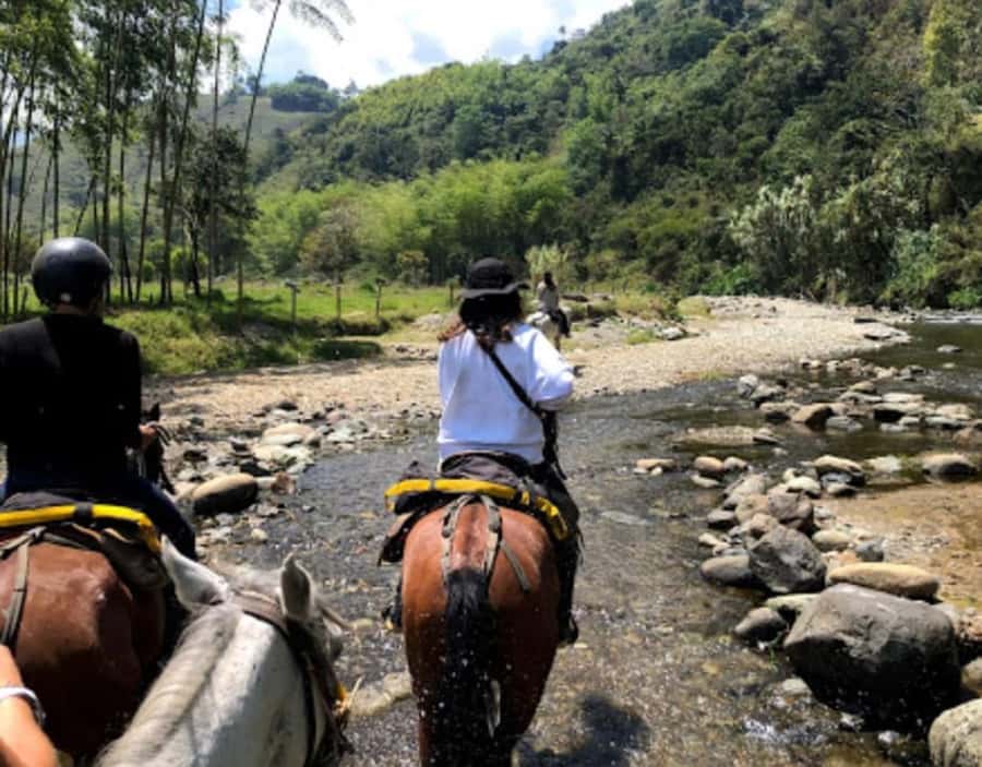 Cocora Valley: Salento & Private Horseback Riding Tour - Why this tour works as a full day in Colombia’s Coffee Region