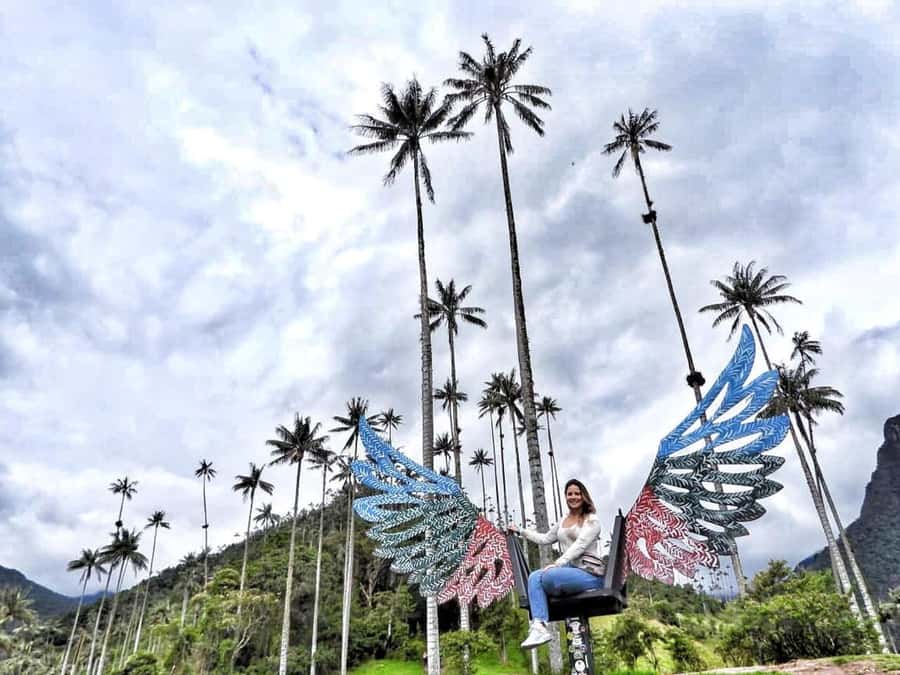 Cocora Valley: Salento & Private Horseback Riding Tour - Cocora Valley and the wax palms
