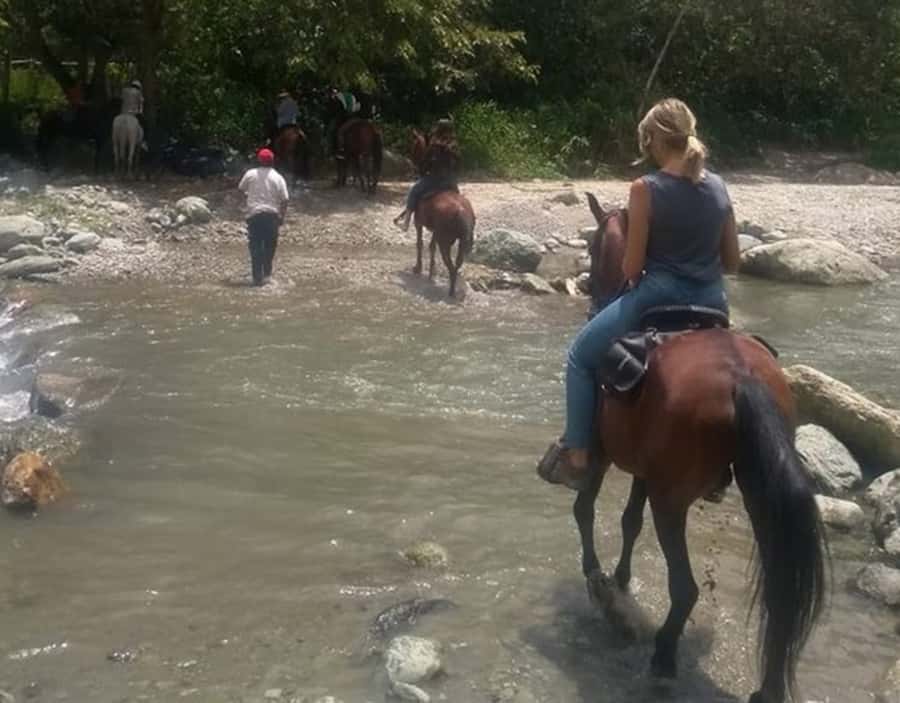 Cocora Valley: Salento & Private Horseback Riding Tour - Exploring Salento beyond the saddle