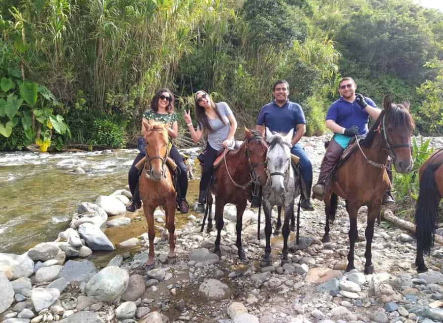 Cocora Valley: Salento & Private Horseback Riding Tour - Who should book this experience