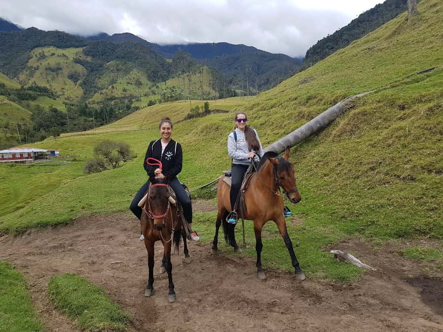 Cocora Valley: Salento & Private Horseback Riding Tour - Starting in Salento on horseback