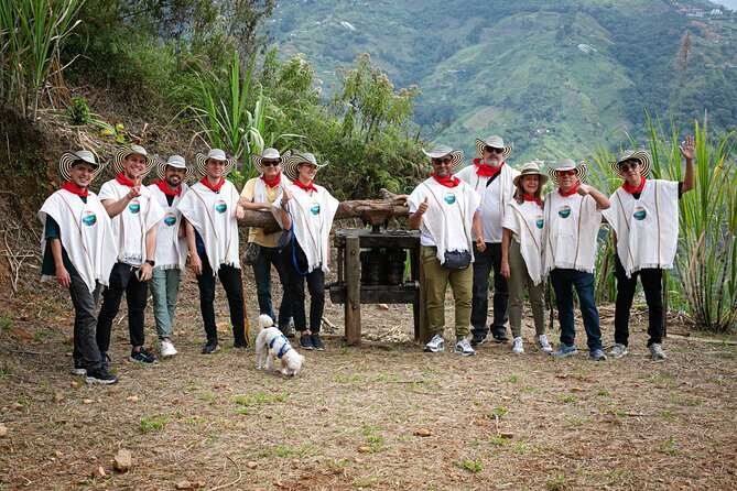 Coffee Tour with arrival on horseback and sugar cane processing - Picking Coffee from the Plant