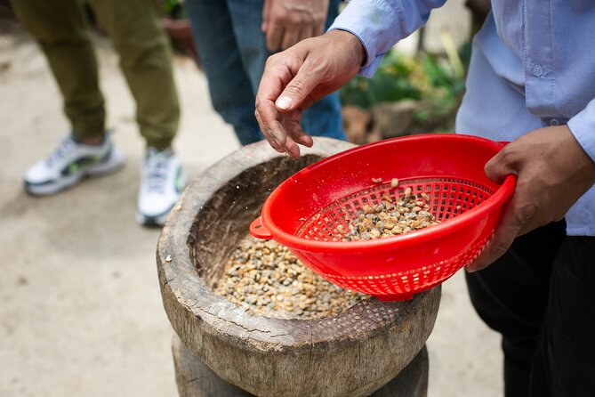 Coffee Tour with arrival on horseback and sugar cane processing - From Coffee Berry to Brewed Cup