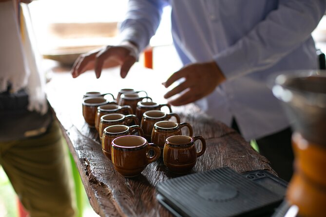 Coffee Tour with arrival on horseback and sugar cane processing - Is $75.90 a Fair Price?