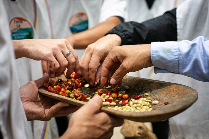 Coffee Tour with arrival on horseback and sugar cane processing - Reaching Palmitas by Horseback