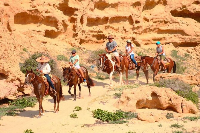Combined ATV and Horseback Ride/Tequila Tasting - Two very different rides near Cabo San Lucas