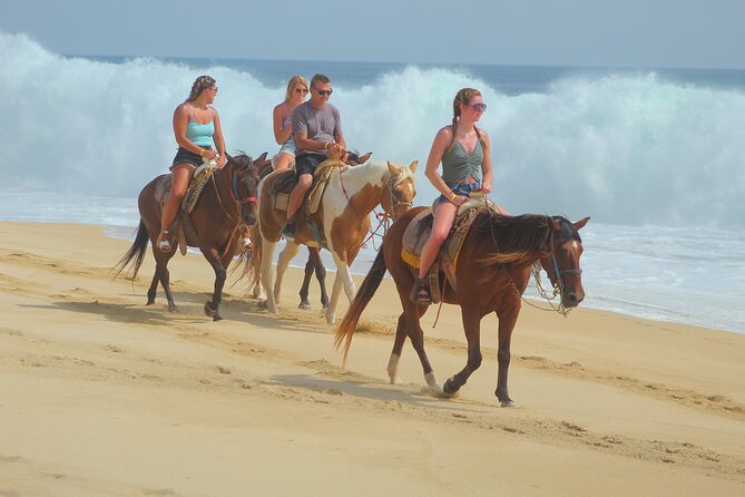 Combined ATV and Horseback Ride/Tequila Tasting - Safety, insurance, and the one serious caution
