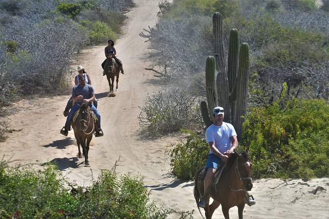 Combo Double Utv + Horses - What the UTV ride feels like