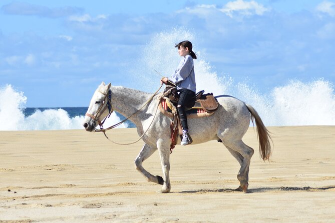 Combo Double Utv + Horses - The horseback ride on the Pacific beach