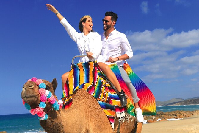 Combo Horseback Ride and Sky Bike in Cabo - What the Polaris details mean