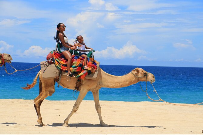 Combo Horseback Ride and Sky Bike in Cabo - What $125 really covers