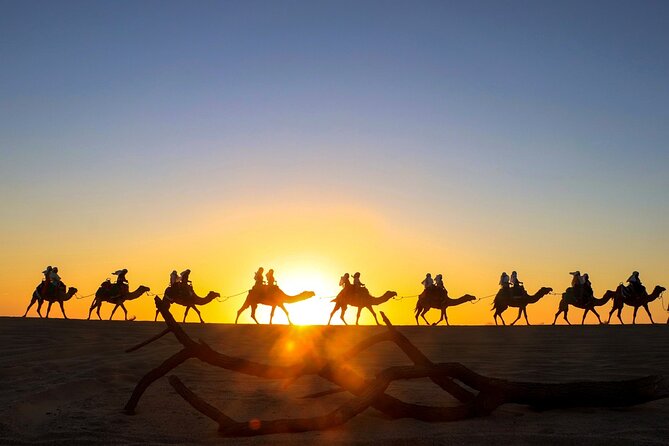 Combo Horseback Ride and Sky Bike in Cabo - One hour on horseback along the beach