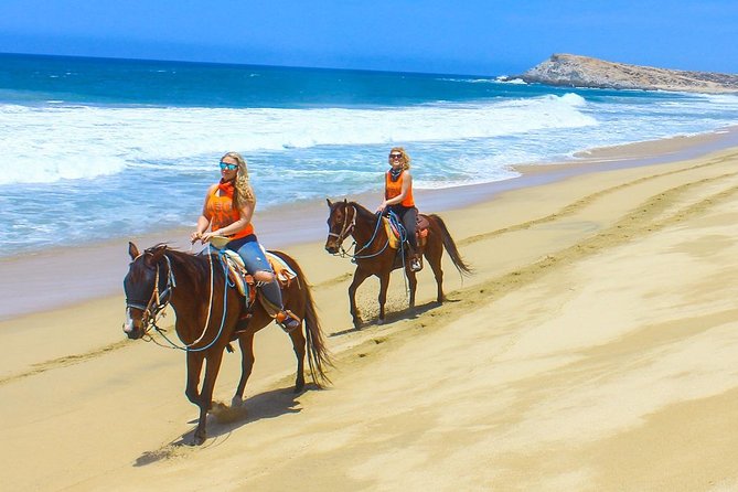 COMBO Horseback Riding & UTV Tour - Why this Cabo combo works for mixed interests