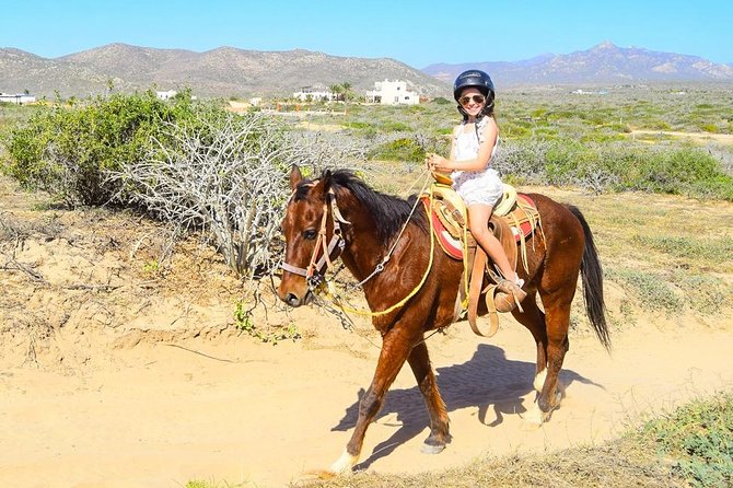 COMBO Horseback Riding & UTV Tour - The real price: $125 plus park charges