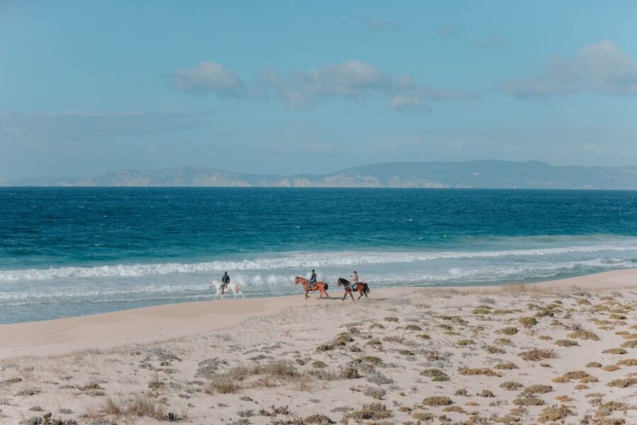 Comporta: Guided Horseback Riding Experience - Why Comporta works so well on horseback