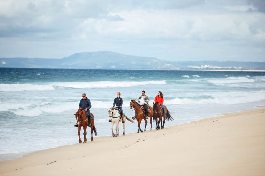 Comporta: Guided Horseback Riding Experience - Getting comfortable with the horse
