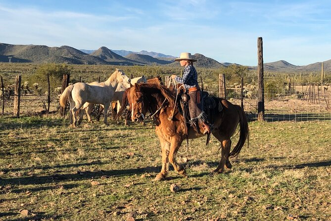 Contact us to book your time. Best Trail Rides in Arizona. - Key points to know before you book