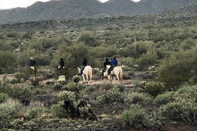 Contact us to book your time. Best Trail Rides in Arizona. - Why the private format matters