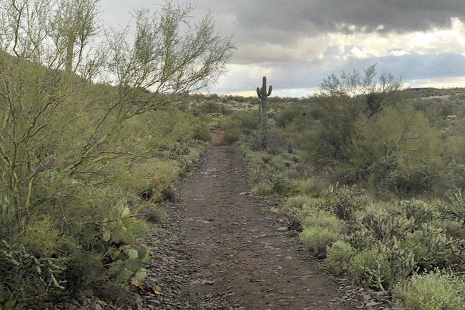 Contact us to book your time. Best Trail Rides in Arizona. - Price, timing, and what you receive