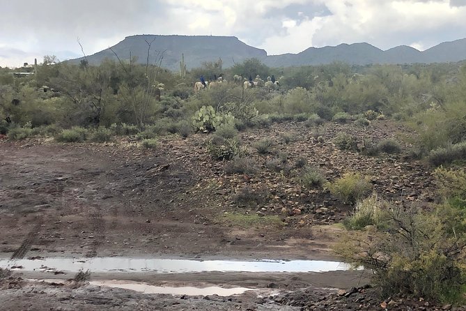 Contact us to book your time. Best Trail Rides in Arizona. - The guide makes the difference