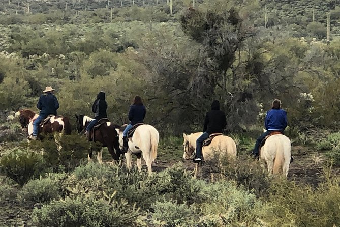Contact us to book your time. Best Trail Rides in Arizona. - Scenic pauses and better desert photographs