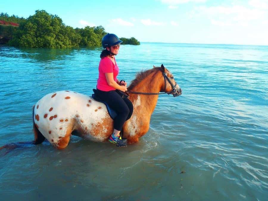 Cooking Class Tour, Stone Town Tour, Horseback Riding - What to bring and what to clarify