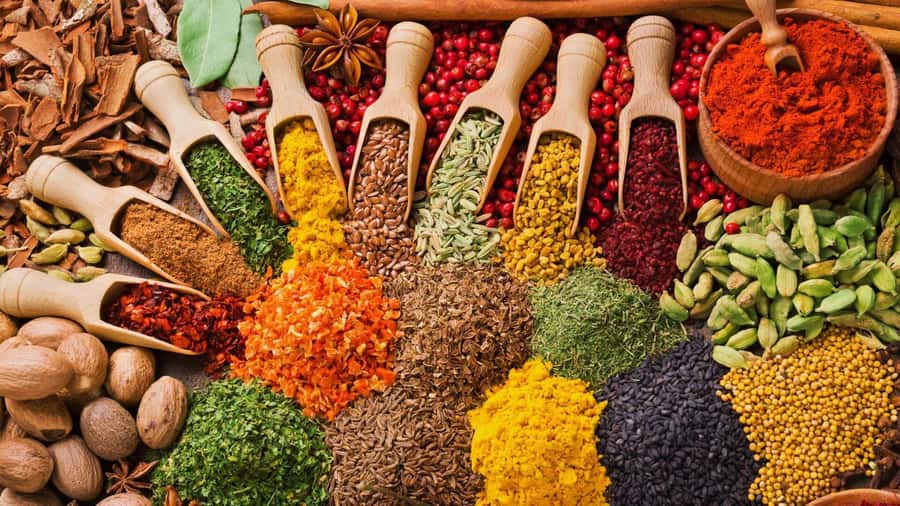 Cooking Class Tour, Stone Town Tour, Horseback Riding - What the $220 price includes