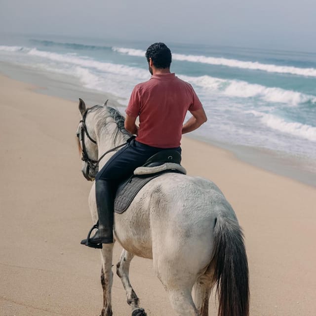 Costa Alentejana: Horse tour in Serra de Grândola - Tiago, the animals, and the personal feel