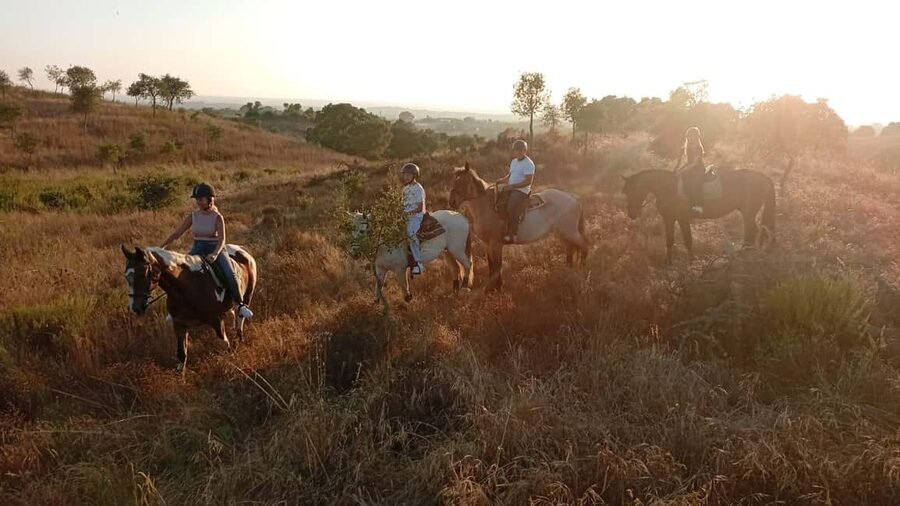 Costa Alentejana: Horse tour in Serra de Grândola - Wine, local food, and optional extras