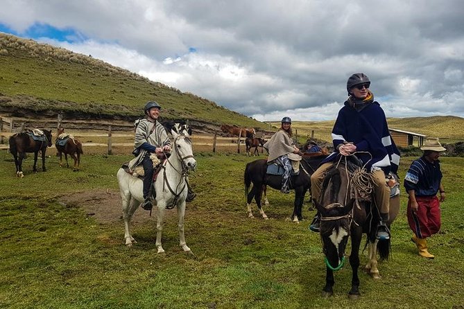 Cotopaxi Horseback Riding Tour from Quito – Andes Adventure - Three hours on horseback below the volcano