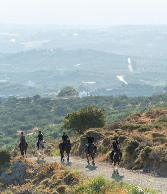 Crete Horse Riding: Cretan Countryside Ride - Riding among ancient olive groves