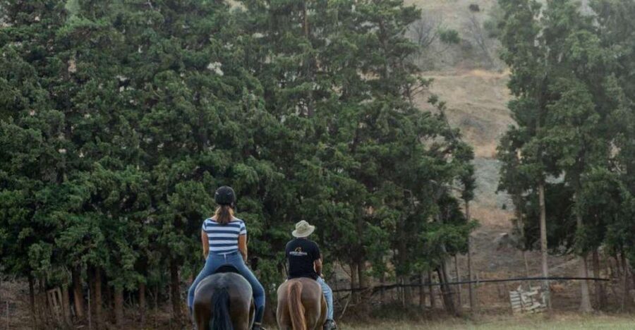 Crete Horse Riding: Cretan Countryside Ride - What the one-hour timing really means