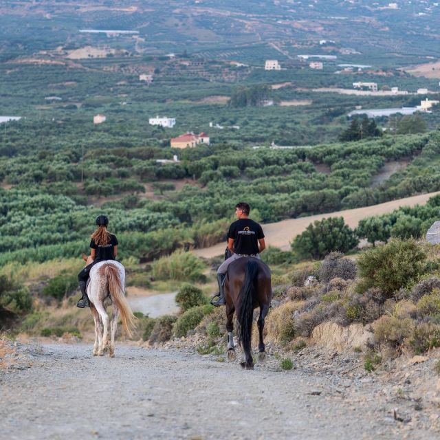Crete Horse Riding: Cretan Countryside Ride - Small details that make the experience better