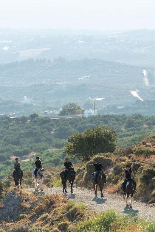 Crete Horse Riding: Cretan Countryside Ride - The first steps on gentle Cretan paths