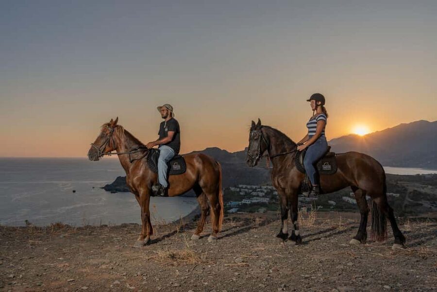 Crete Horse Riding: East Coastline Ride - Key Points at a Glance