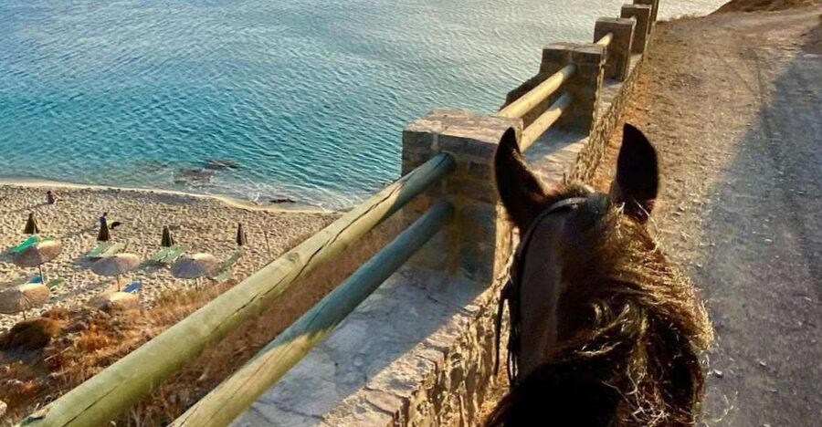 Crete Horse Riding: East Coastline Ride - Ammoudi and the Eastward Coastal Road